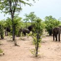 ZMB EAS SouthLuangwa 2016DEC09 KapaniLodge 002 : 2016, 2016 - African Adventures, Africa, Date, December, Eastern, Kapani Lodge, Mfuwe, Month, Places, South Luanga, Trips, Year, Zambia